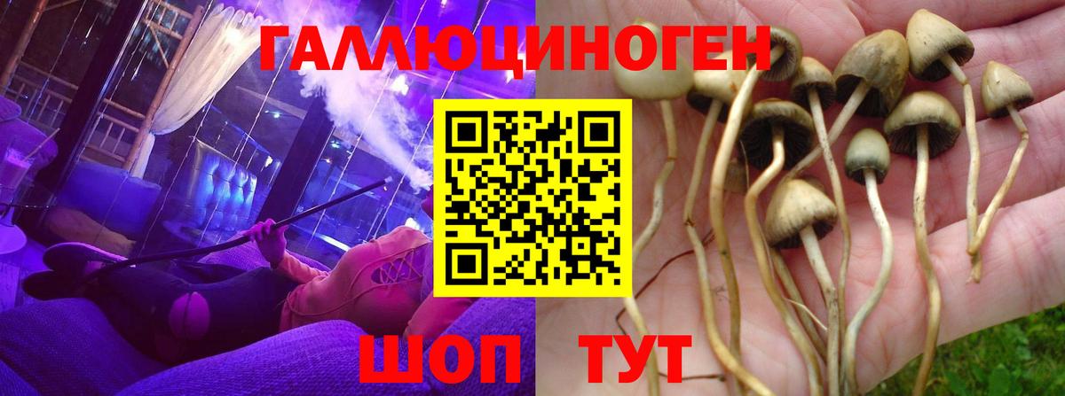 Уварово  Галлюциногенные грибы ЛСД  закладка  Псилоцибиновые грибы Cubensis  Вход с VPN 